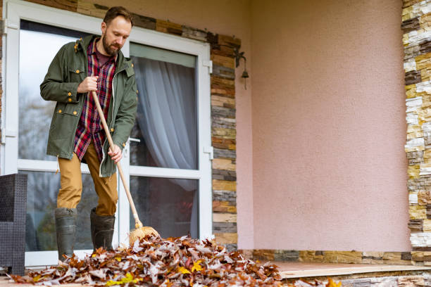 Best Junk Hauling Services  in Effingham, IL